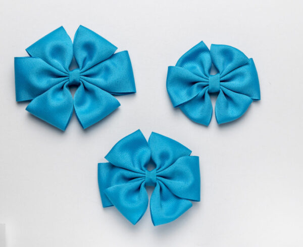 A Blue Color Round Bow on a White Background