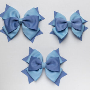 Blue & BlueBird bows