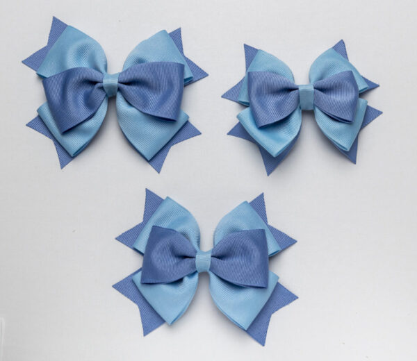 Blue & BlueBird bows